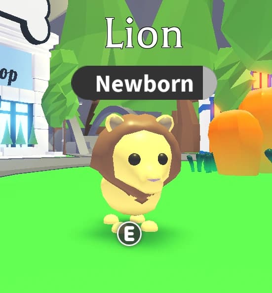 Lion — item image