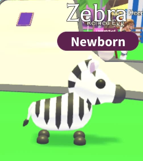Zebra — item image