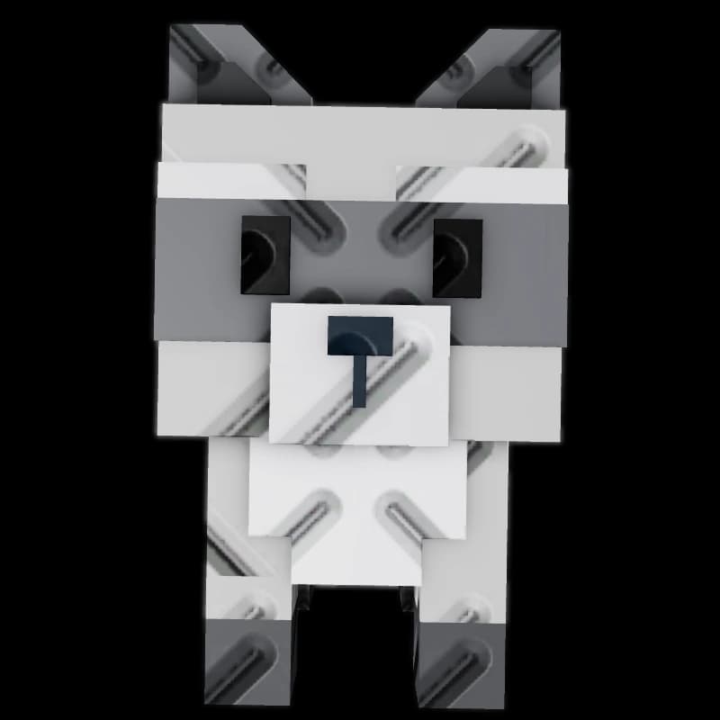 Raccoon — item image