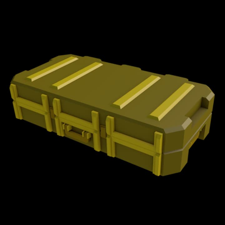 Skin Case 2 — item image