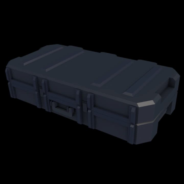 Skin Case — item image