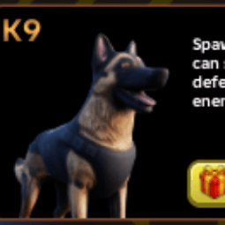 K9 — item image
