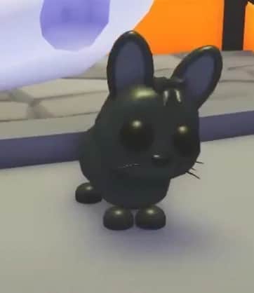 Amami Rabbit — item image