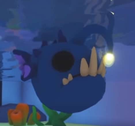Angler Fish — item image