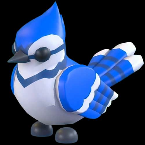 Blue Jay — item image