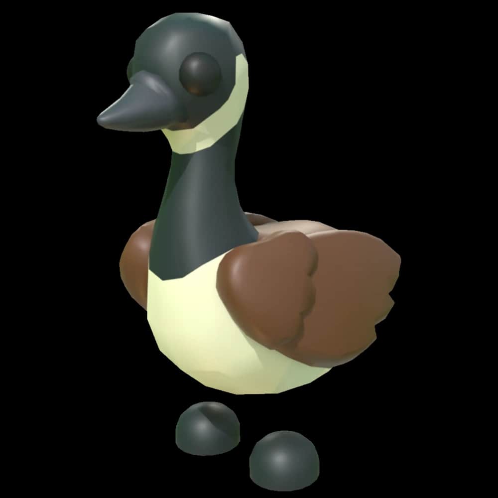 Canadian Goose — item image