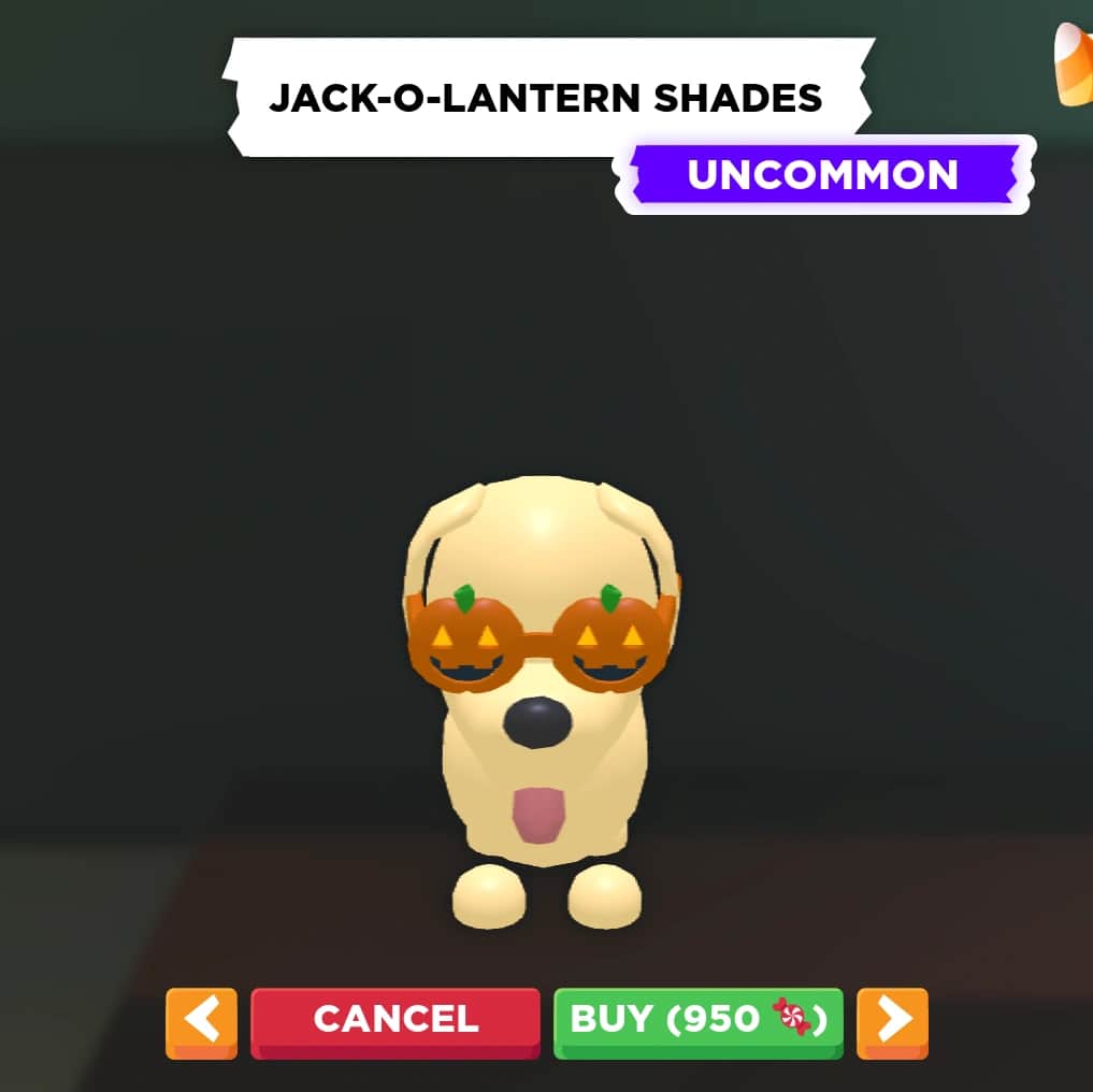 Jack-O-Lantern Shades — item image