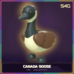 Mega Neon Canada Goose — item image
