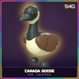 Mega Neon Ride Canada Goose — item image