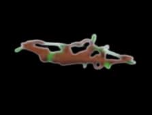 Nature's Crossbow — item image