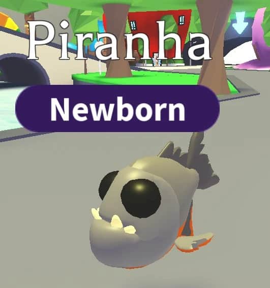 Neon Piranha — item image