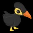Neon Ride Maleo Bird — item image