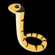 Neon Ride Yellow-lipped Sea Krait — item image