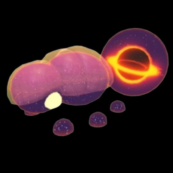 Neon Singularity Beetle — item image