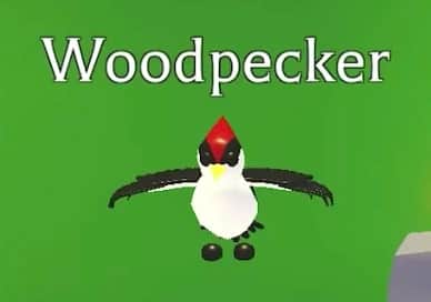 Neon Woodpecker — item image