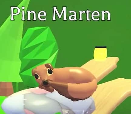 Pine Marten — item image