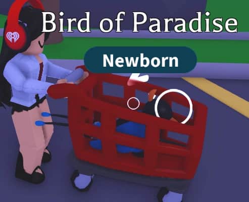 Shopping Cart Stroller — item image