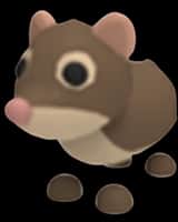 Shrew — item image