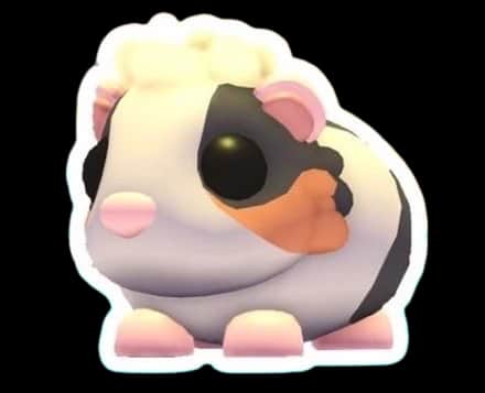 Tortoiseshell Guinea Pig — item image