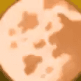 Harvest Moon Potion — item image