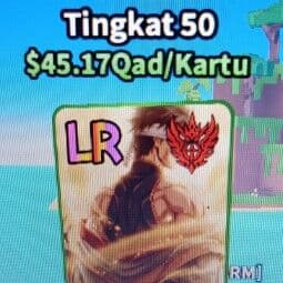 Unknown Radiant Warrior — item image