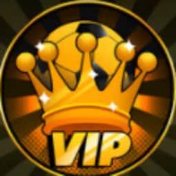 VIP — item image