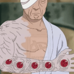 Danzo Arm — item image