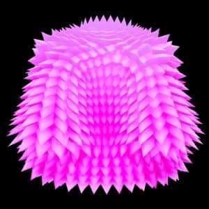 Pink Coat — item image