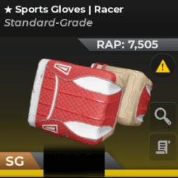 Sport Gloves | Racer — item image