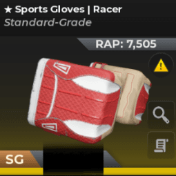 Sport Gloves | Racer — item image