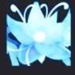 Forest Bloom — item image