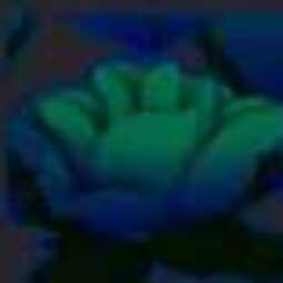 Lonely Rose — item image