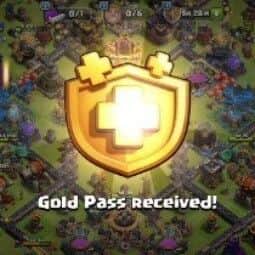 Gold Pass — item image