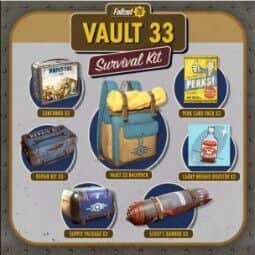 Vault 33 Survival Pack Key — item image