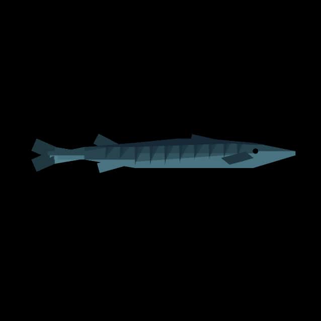 Barracuda — item image