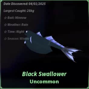 Black Swallower — item image