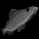 Bladeback Perch — item image