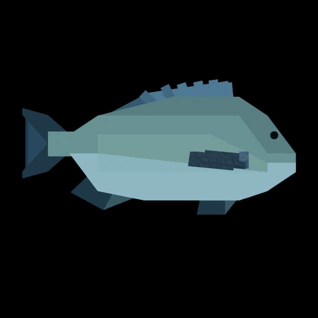 Bream — item image