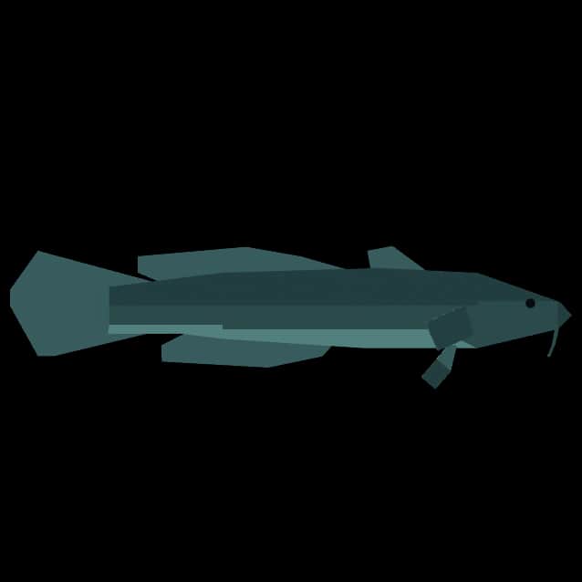 Burbot — item image