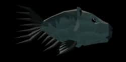 Capybass — item image