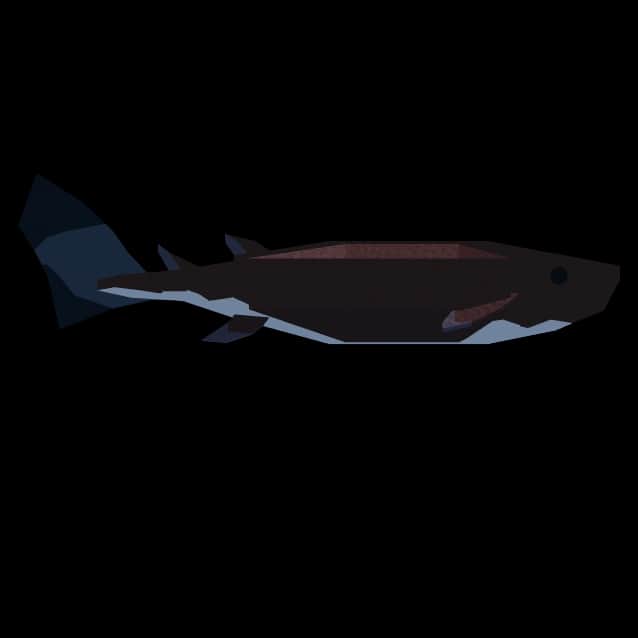 Cookiecutter Shark — item image