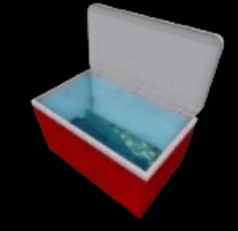Cooler Catfish — item image