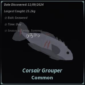 Corsair Grouper — item image