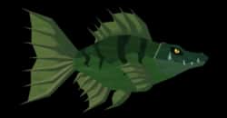 Crocokoi — item image