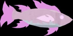 Crystal Wrasse — item image