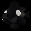 Domino Damsel — item image