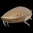 Lake Sturgeon — item image