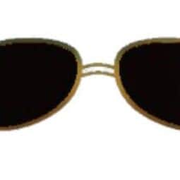 Radiant Shades — item image