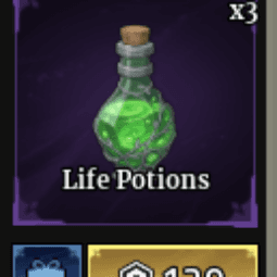 Life Potion — item image