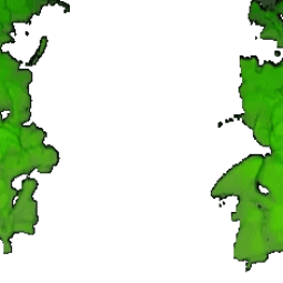 Jungle Vine — item image